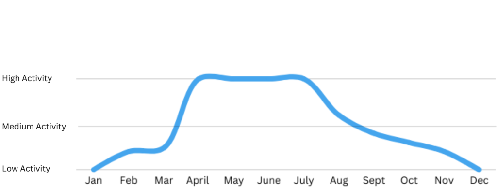 Seasonal Activity Chart