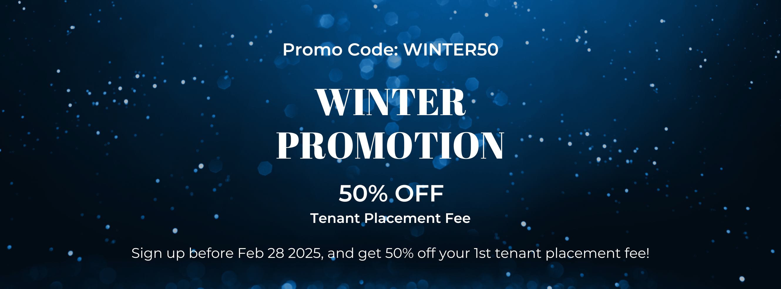 Winter Promotion Banner